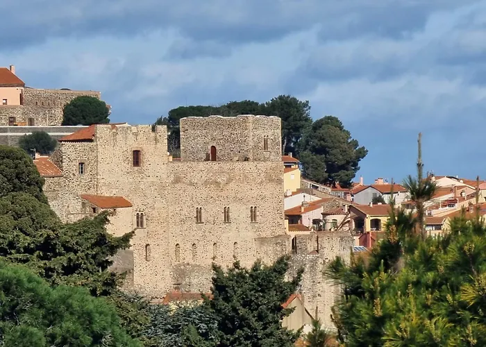 Lejlighed T2 Securise A Avec Parking Proche De La - Fr-1-309-418 Collioure